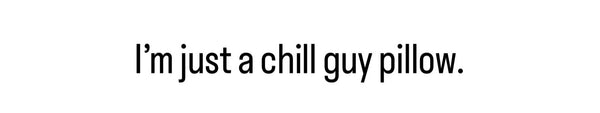 chill guy pillow 